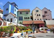 惬意游江原道：南怡岛漫步 + 小法国村打卡 + 江村铁路自行车畅骑，一日解锁三重浪漫