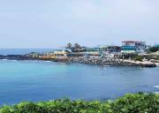 济州岛绿茶博物馆+山茶花之丘+泰迪熊博物馆+柱状节理带+涯月海岸路