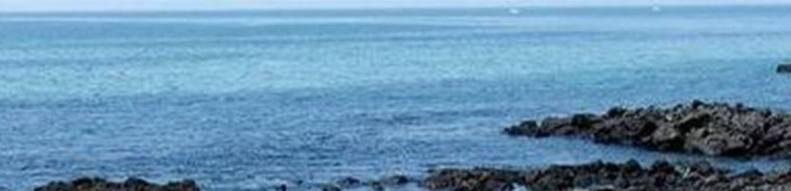 未标题-1csdavfbngf