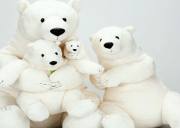 济州萌系地标：Joanne 熊博物馆，打卡设计师手作泰迪熊与海景咖啡