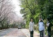 釜山迎月路：山海间的 “浪漫观月道”，白天赏海、夜晚赴一场月光之约