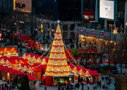 《逛首尔别错过！光化门广场，在城市核心感受历史温度》