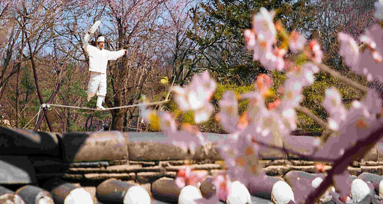  深度游韩国：体验民俗村风情，游览水原华城美景