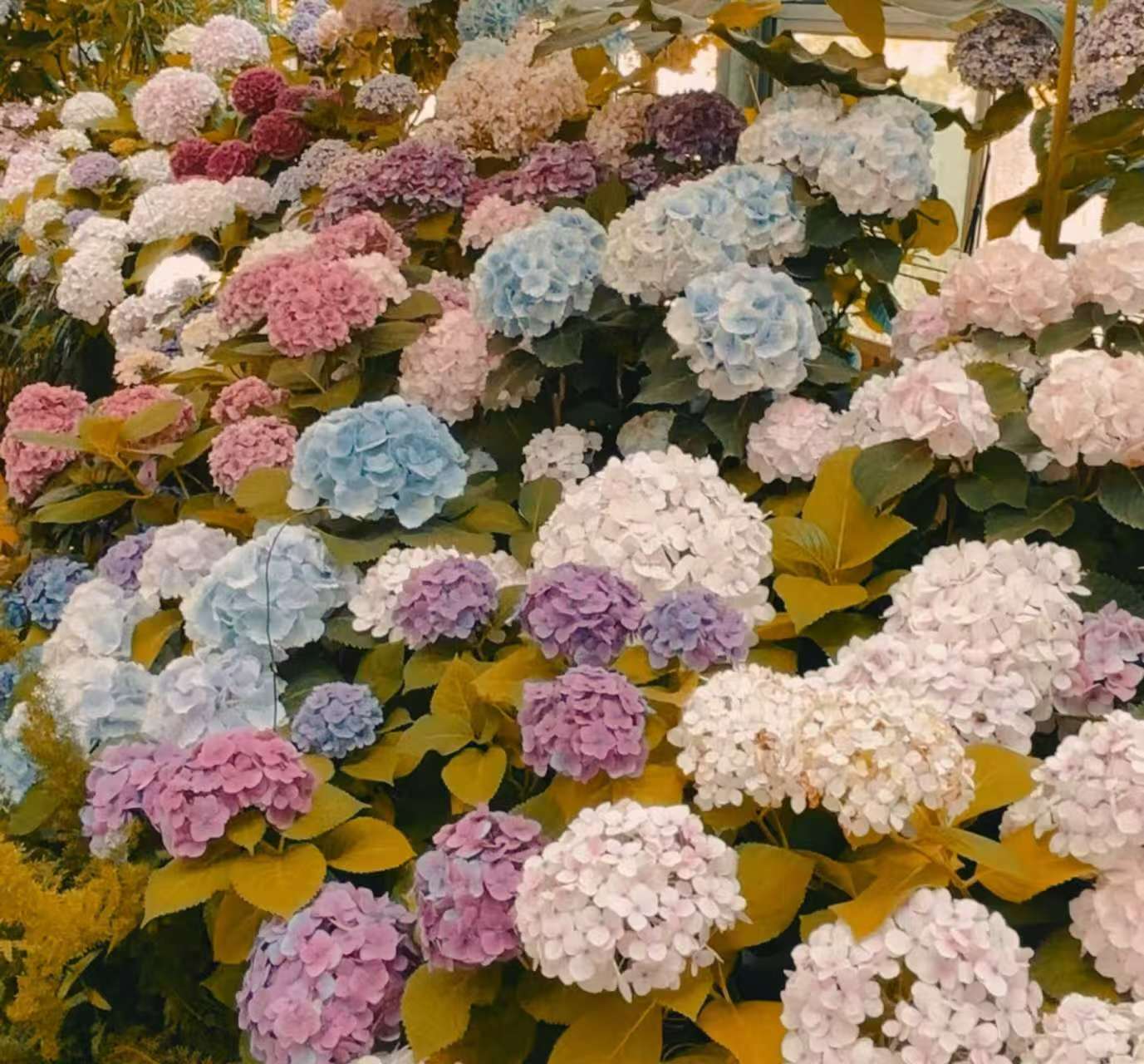 45cbaff8eace7ccdcc5100abec22542d 45cbaff8eace7ccdcc5100abec22542d