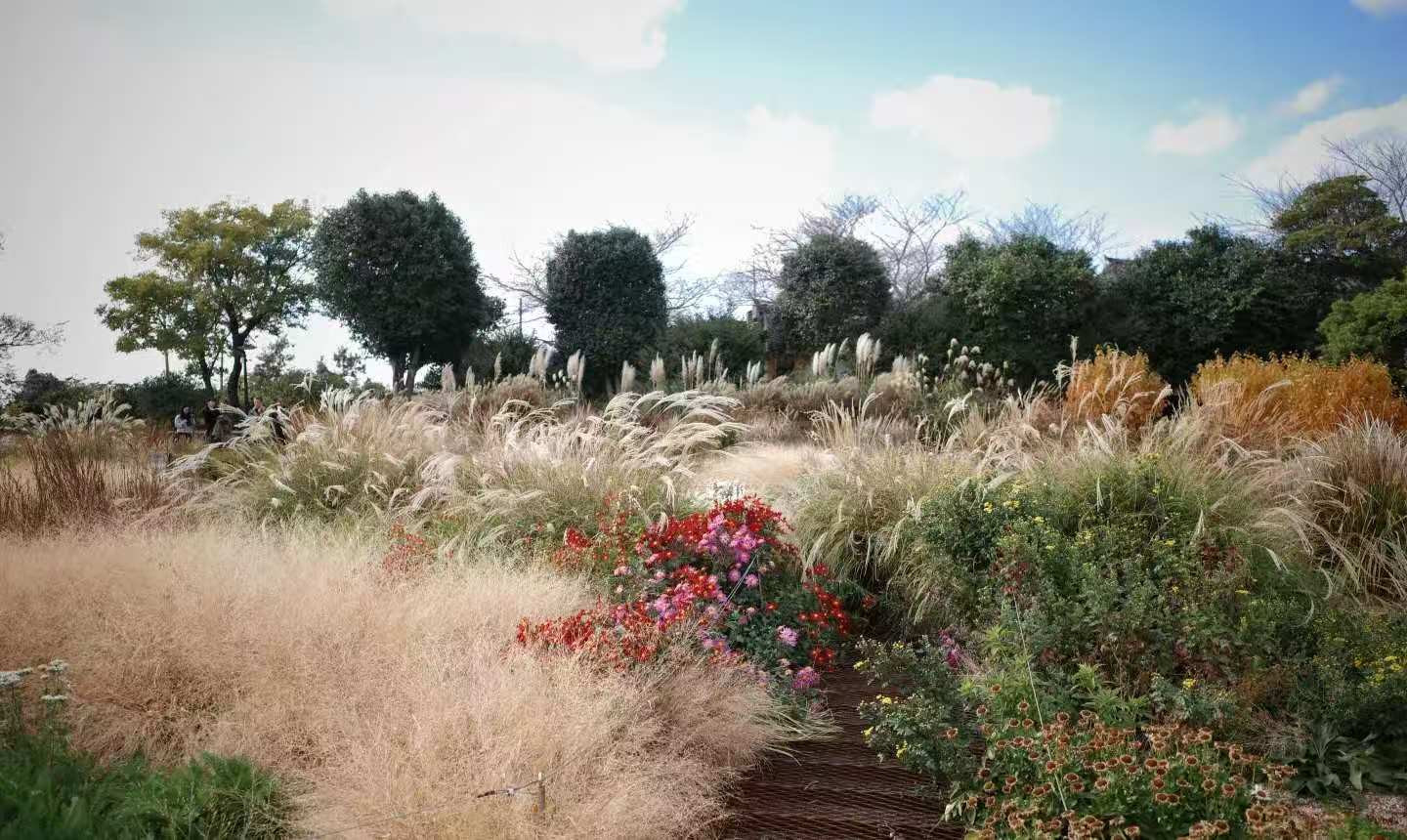 df3207a167a99ebfcd3ad71568794d64